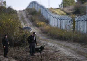 پلیس بلغارستان با سگ ها