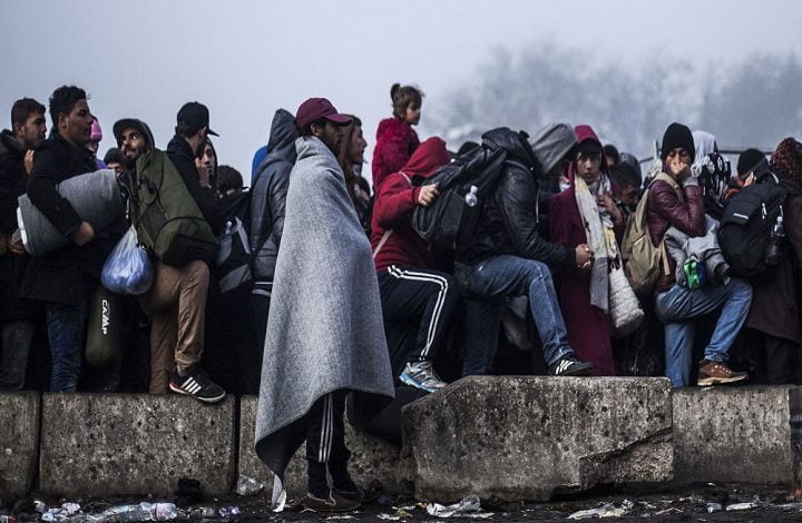 آلمان در سال 2022 تعداد 12 هزار پناهجو را دیپورت کرده است