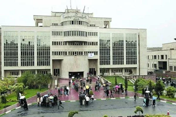 دانشگاه