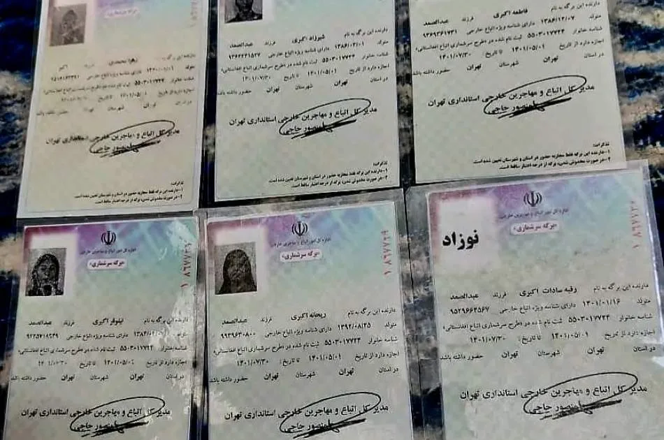 طرح ادغام مزدوجین دارای برگه سرشماری با افراد دارای کارت آمایش