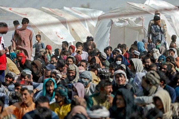 سازمان ملل: مهاجران افغان در صدر نیازمندان به اسکان مجدد در سال ۲۰۲۶