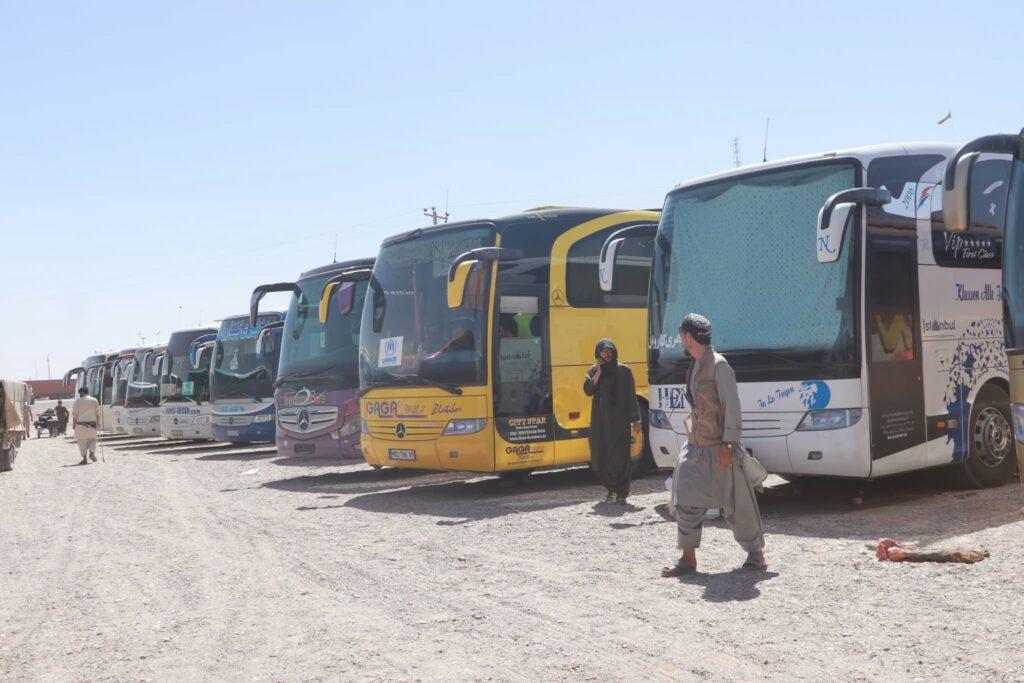 انتقال روزانه هزاران مهاجر افغان از مرز اسلامقلعه بهصورت رایگان