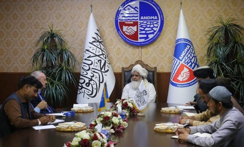 حمایت از مهاجران افغان؛ محور گفتوگوی طالبان و برنامه جهانی غذا