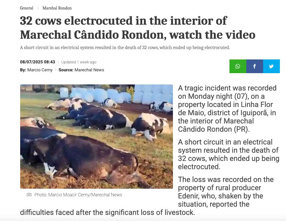 حقیقت ماجرای تلفشدن گاوها و شایعهی مسمومسازی توسط کارگر افغان 1 حقیقت ماجرای تلفشدن گاوها و شایعهی مسمومسازی توسط کارگر افغان