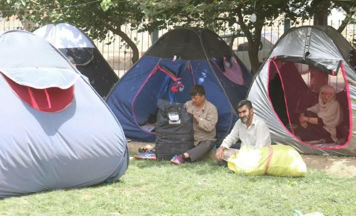زندگی در گرمای ۴۰ درجه؛ مهاجران بازگشتی افغان در پارک‌های هرات سرپناه ندارند