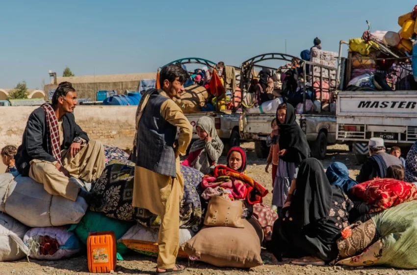 بازگشت گسترده پناهجویان افغان از پاکستان؛ نگرانی‌های بین‌المللی درباره وضعیت انسانی