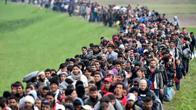 در سال ۲۰۱۵ بیش از یک میلیون مهاجر و پناهنده وارد اروپا شدند و بحرانی را به وجود آوردند که کشورها را وادار به تلاش برای مقابله با آن کرد