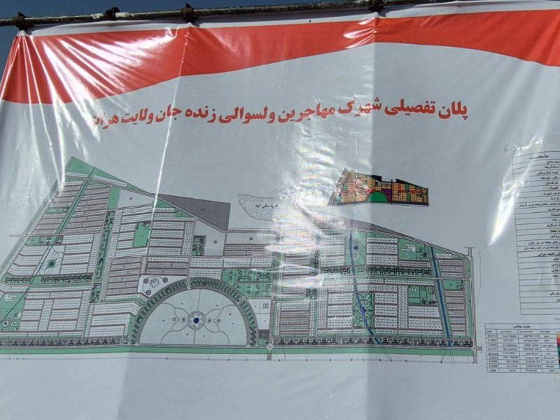 آغاز رسمی توزیع زمین برای مهاجران برگشتی در ولایت هرات؛ گامی در مسیر اسکان دایمی و کاهش فشار بر بازار مسکن