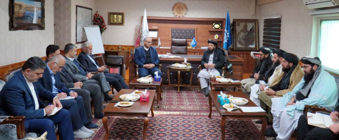 ایران سالانه ۲۰۰ هزار ویزای کاری برای اتباع افغانستانی صادر می‌کند