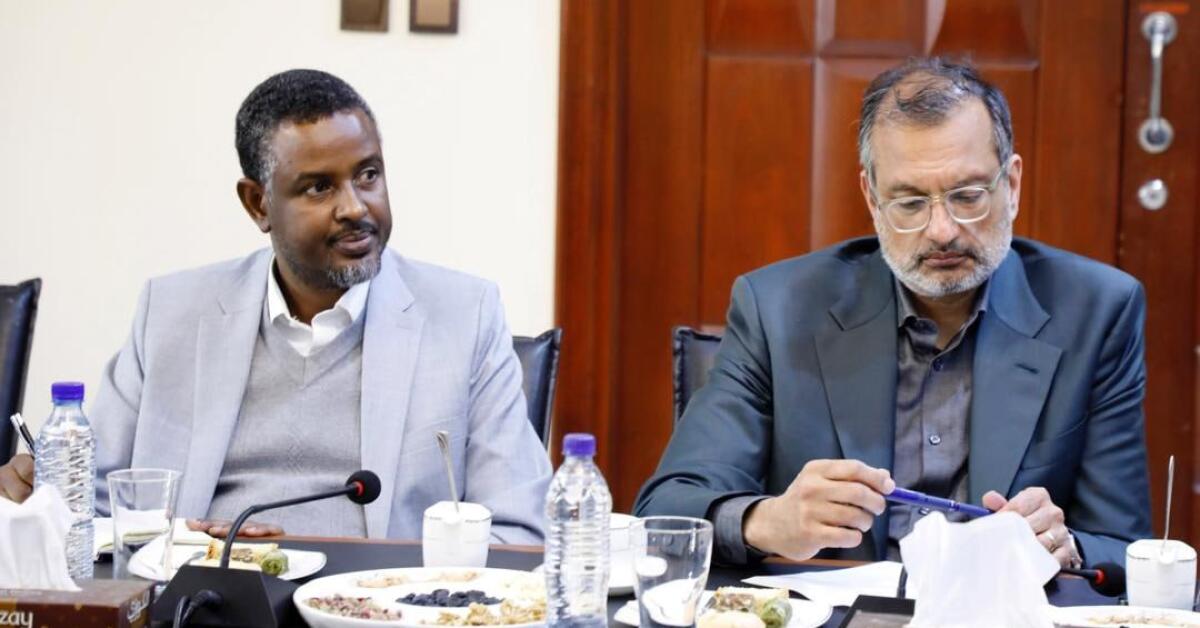 ارزیابی وضعیت مهاجران؛ کمیسر عالی سازمان ملل به افغانستان سفر می‌کند