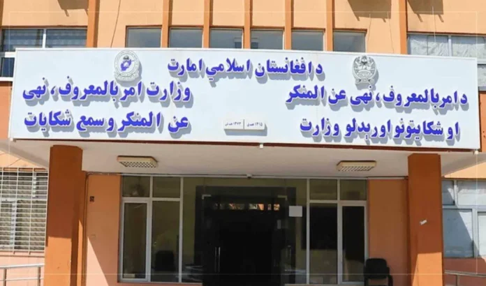 ورود سازمان ملل به بحران پناهجویان افغان؛ چالش طالبان در موج بازگشت ۶ میلیونی